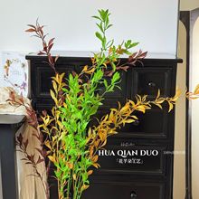 ѩ~ʽҾӼٻGֲbѿ֦廨֦lˇ쾰