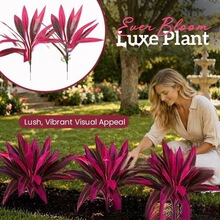 �羳�¿�Artificial Ti Plant�����ֲ��������ľ��Ѫ��