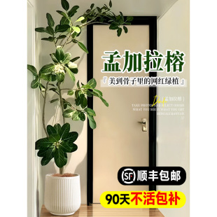 �ϼ����ſ͏d�Gֲ�҃ȴ��������S���Ÿ�ɽ�Ř���غ��B�W�t��լ��