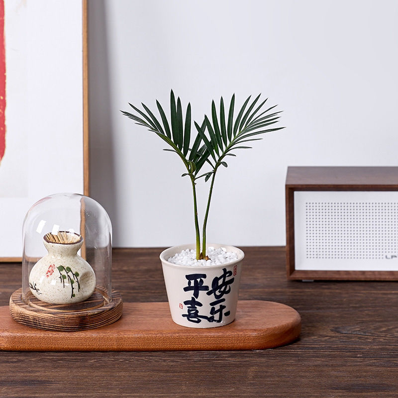 铁树宝宝盆栽迷你绿植桌面办公室茶桌盆景好养客厅植物四季常青