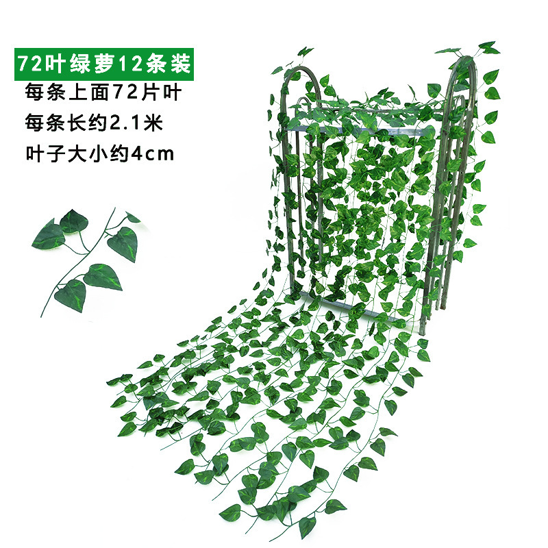 O1CN01evDAqi1Ohakr2zFMG_!!2211