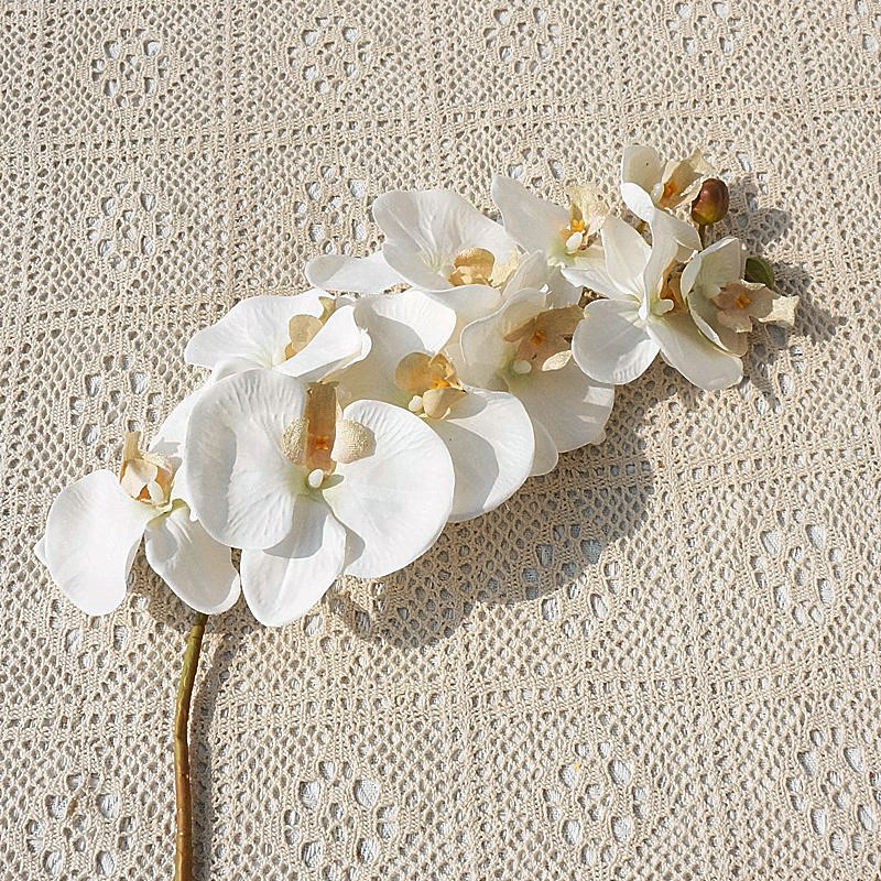 O1CN0159LzGm1s540oLhzG3_!!4036