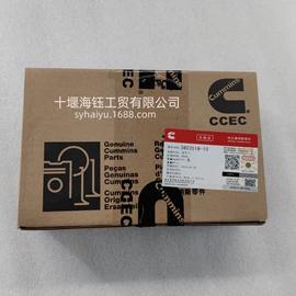 其他发动系统;油泵、油嘴;活塞/活塞环