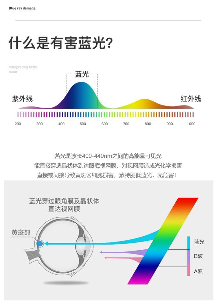 1b6508c0-45d2-4360-9308-9f4ce1f9cd4c.jpe