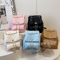 Women's 2024 Fashion Gingham Embroidered Chain Strap Dual Shoulder Bag, Large Capacity, Essential Travel Backpack for Ladies