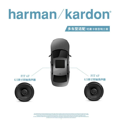 Car Audio Car Speaker, Car horn/tweeter