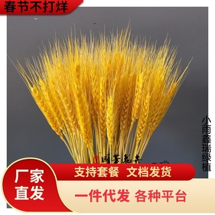 һ�����l��Ȼ�S������ɻ������_�I�����͏d�b[���[�O���Ӳ廨