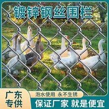 �F�z�W�B�u���ھW��\���P�ˈ@����䓽z�W�����Bֳ�W���o�ڷ��o�W
