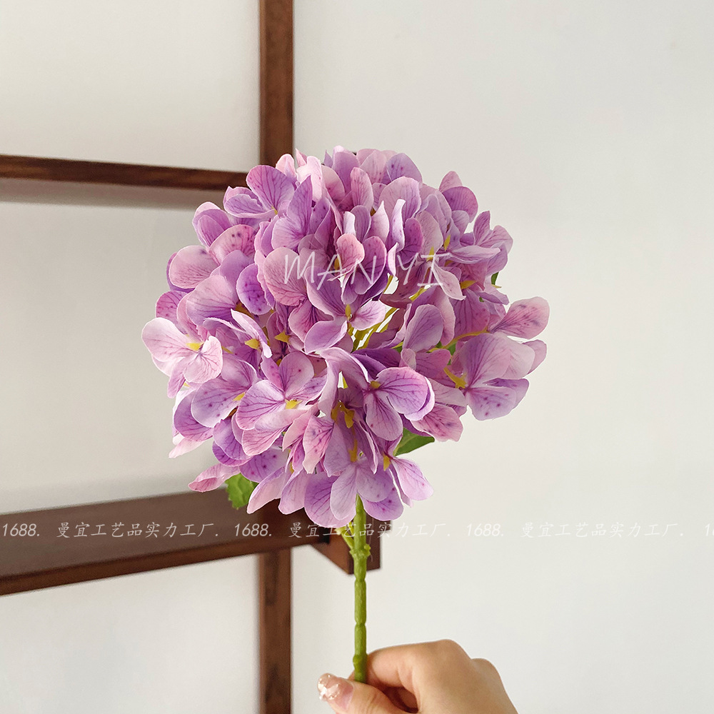 Hortensia de madera púrpura