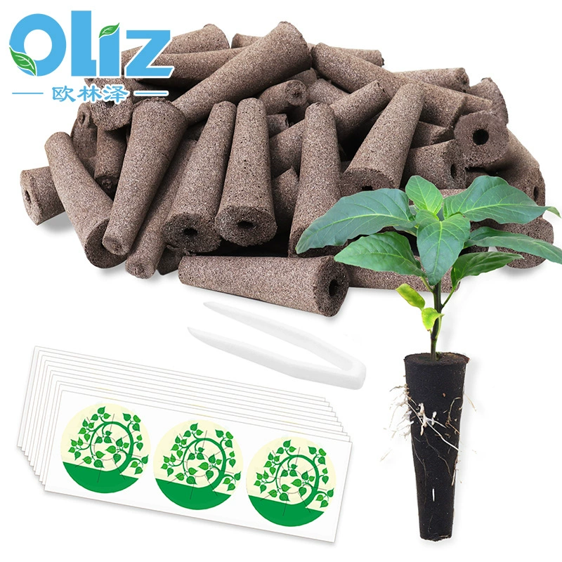 Оптовая продажа гидропонная посадка саженцы посадочные блоки