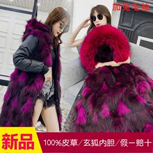 2025¿ëđëɿ˷ŮLƤ״