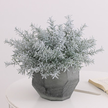 ����ֲ�����zֲ�q���~�ݲ廨����쾰�������ϻ������bGֲˮ��