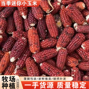 ��������С����3-5cm�}���z������ĥ��������  ĥ����ʳ ��