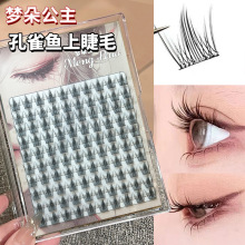 ���Ƽӹ�-��ȸ�~10�Ŵ�����100�؆δض�ë������Ȼ���ֶܷμٽ�ë