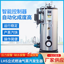 LHS��ʽȼ��������������ȫ�Զ����ܿ��¹�¯ϴԡ�Ƶ���2��1��