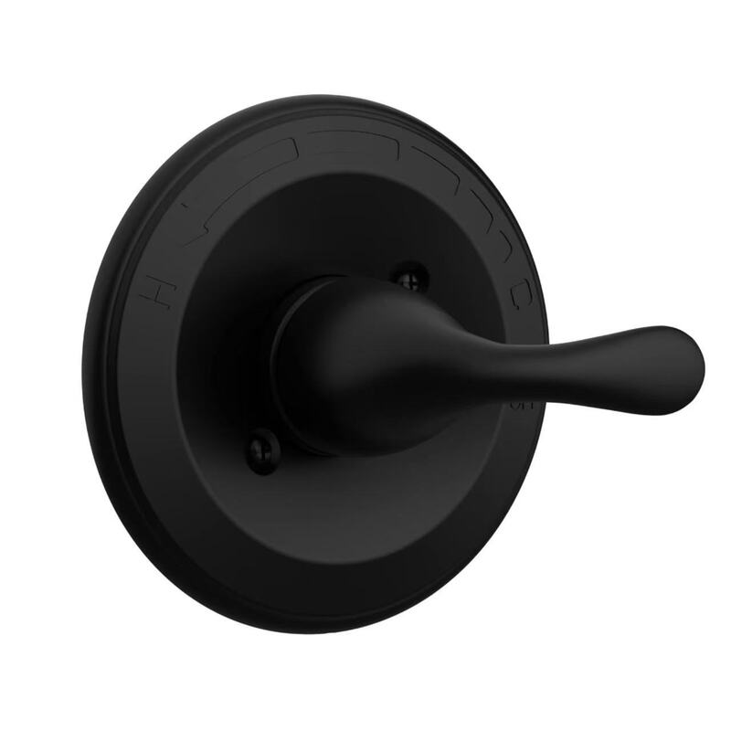 delTa T13020-SS Amazon Concealed Panel DecoraTive Cover