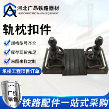 厂家供应轨枕铁路检查坑扣件铁路短枕地铁扣件整体道床弹条扣件