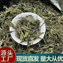 �����ײ����͸�ɽ��ĵ�����~2023����Դ�^��Sֱ�N�Y����������