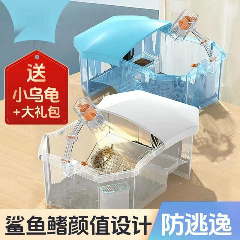 Черепаховая вилла с аквариумом в доме с аквариумом