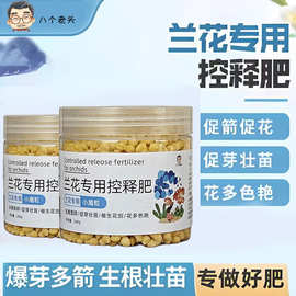 兰花肥料专用肥控释肥兰科蝴蝶兰家用通用型兰花专用肥兰花盆栽肥