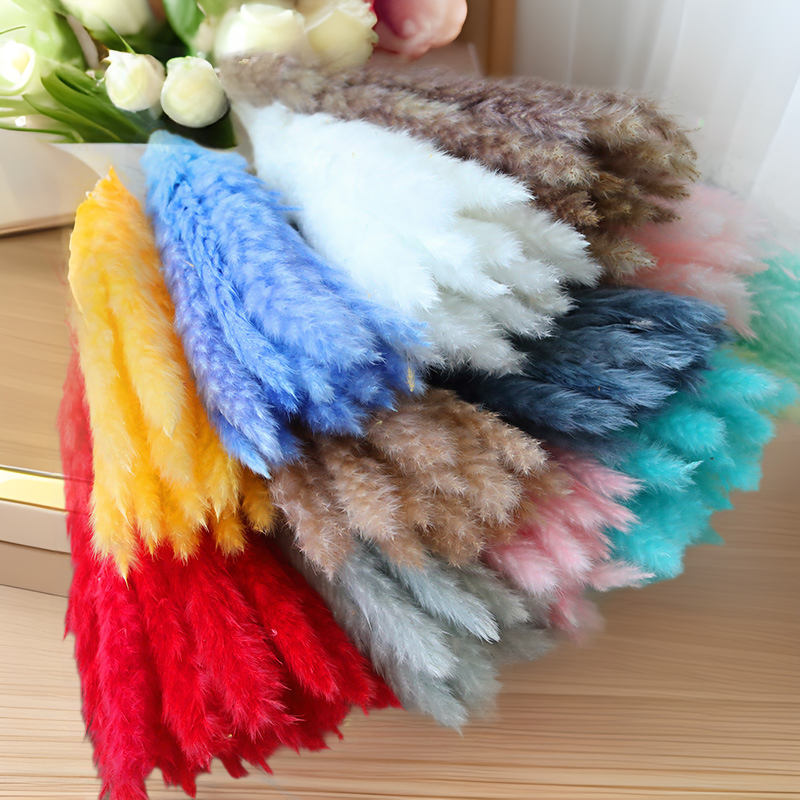 Small Reed Immortal Flower Bouquet Cattail DIY Decorative Ornaments Pampas Grass Reed Dried Flowers Amazon Wholesale