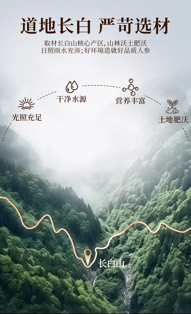 Fresh Ginseng Honey Slices Ready to Eat 100g Changbai Mountain Jilin Specialty overview