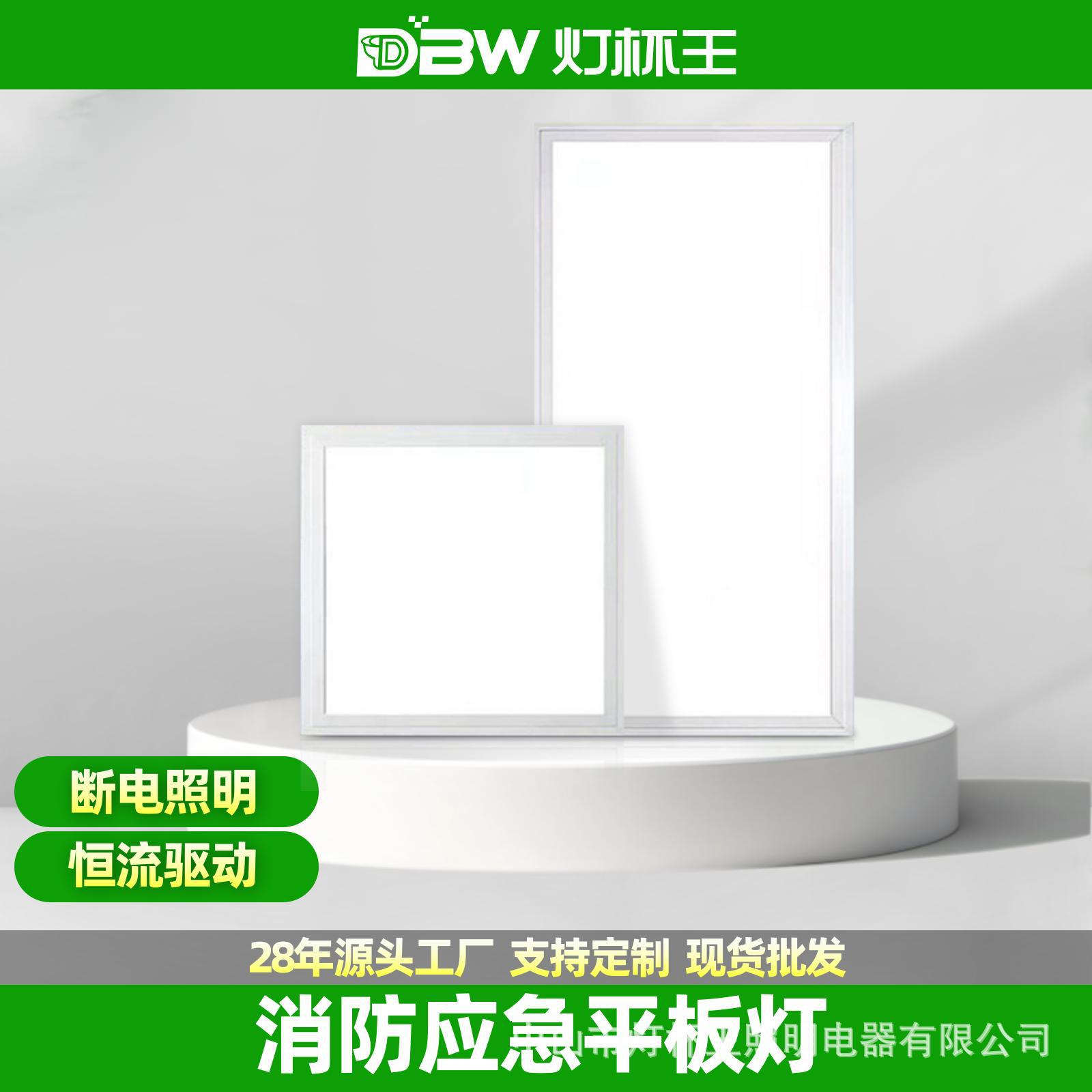 Luz de panel de inducción led fuego iluminación de emergencia 600x600 panel de luz 300*600 luz de techo integrada de ingeniería