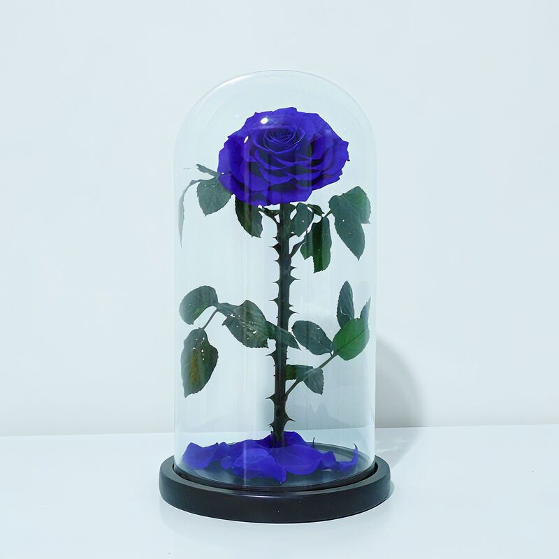 永生花玻璃罩大王子单朵玫瑰花七夕情人节女朋友生日礼物永生花|undefined