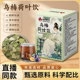 乌梅荷叶饮乌梅汤2.0升级浙江省中医院同款三伏天花茶乌梅荷叶饮