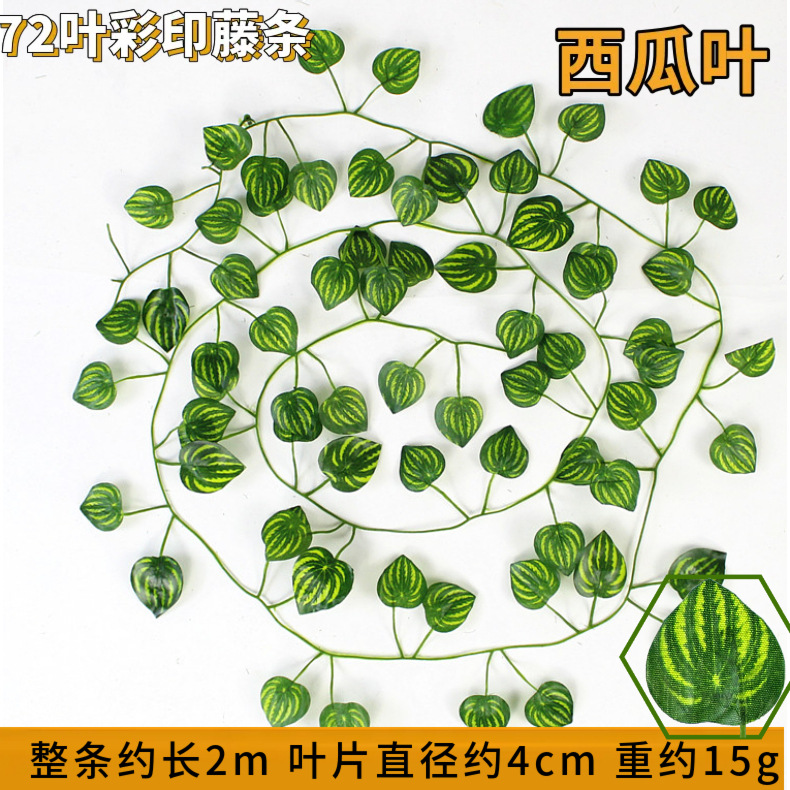 72 lá dưa hấu-1 dải