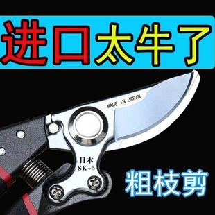 SK5 large big expensive shears imported branches of Japanese flower and wood shears original gardening shears strong pruning shears
