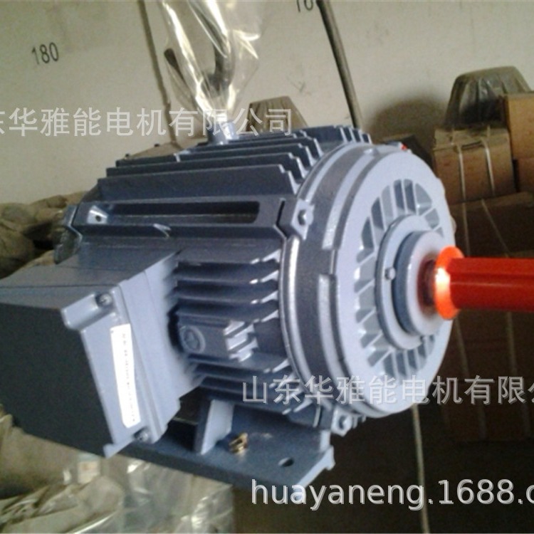 华力YL电机YC355L1-4-280电机冷却方式IC410闷盖无风扇罩自然风冷