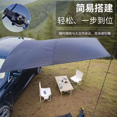 Link Car Canopy Vinyl: Avtomobil dam çadırları