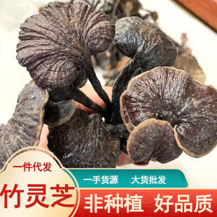 ���`֥���l����L�_�ǰ��z�Nֲ�ϸ�؛�F؛������Ȼ����Ȼș����֥