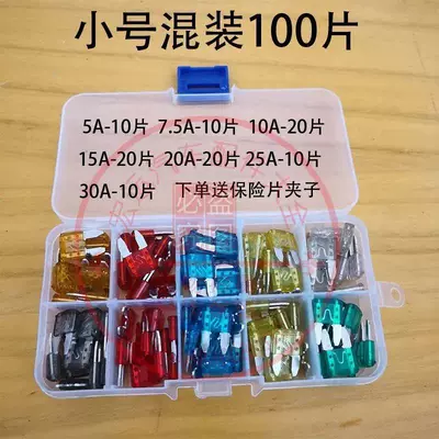 Vehicle Lithium Battery Fuse: Other Electric Vehicle Accessories - enhanced-version-of-100-pieces-small-mixed-box-with-clip