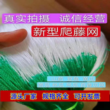 �Nֲ�W�S�Ͽ�Ͻz�����پW����������ܾWֲ�����پW�������پW