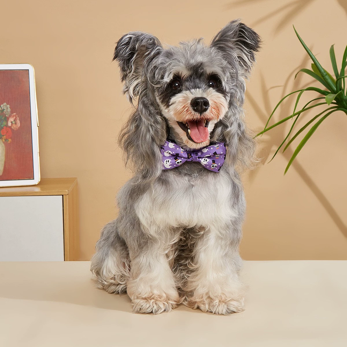 TANPOPO кросс-бордерные новые банты для собак с принтом призраков на Хэллоуин для маленьких и средних собак с регулируемыми бантиками