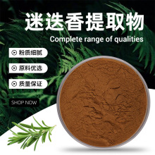 迷迭香提取物 棕色粉末 易溶于水 迷迭香清香 干燥阴凉储存 现货