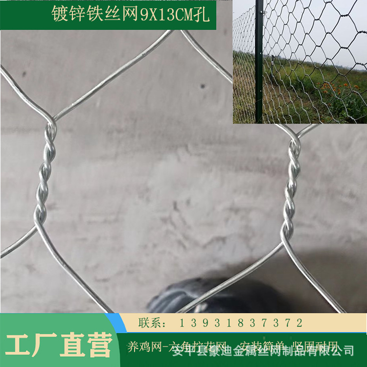 安平豪迪镀锌拧花网铁丝网养殖鸡鸭鹅网