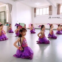 紫金舞蹈西夏鼓娃女童同款演出服装原版伴奏紫色儿童表演服