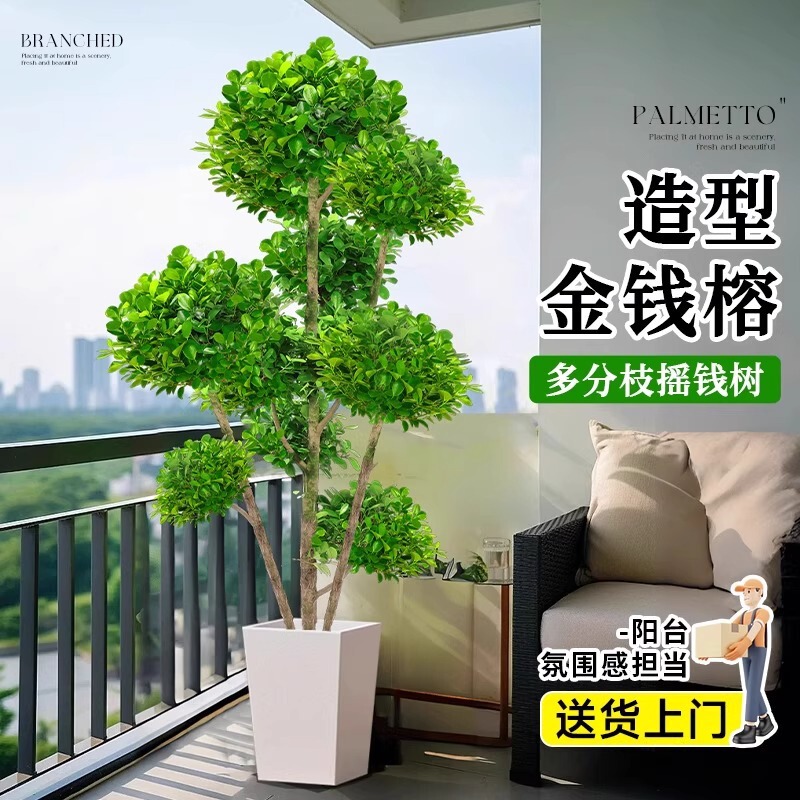 Money Banyan Potted Office Large Money Tree Money Tree Housewarming Indoor Living Room Green Plant Fortune Banyan Tree
