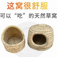 ��؈��ֳ�������ӌ���}��C���m�i�|������ů�C�C�ݸC�ļ�ͨ��