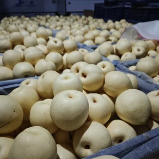 �ӱ������������r����ˮ������֭Ƥ���o��28��/��