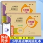单词字母小学生英文描红本