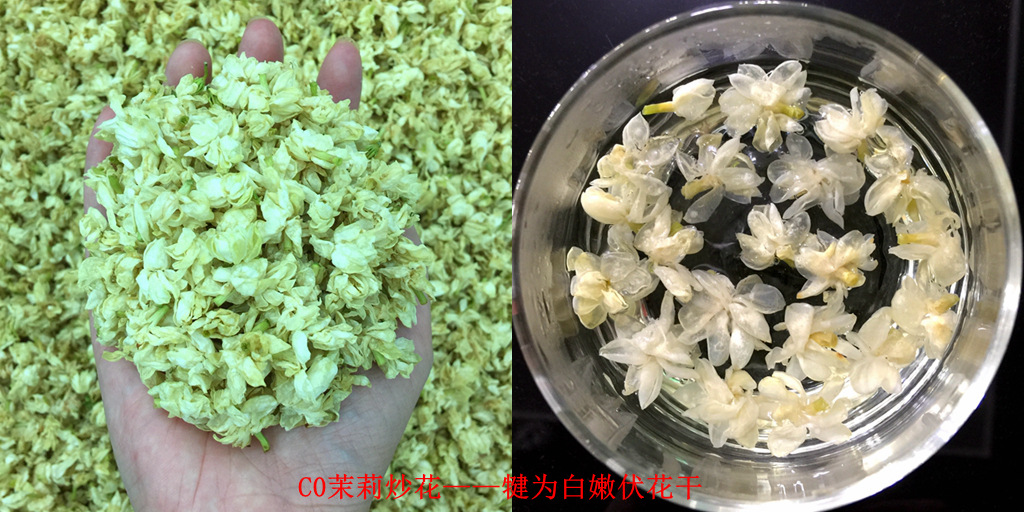 C0 자스민 튀김 꽃 2025 신차 - Qianwei Bai Nen Fu 꽃 건조