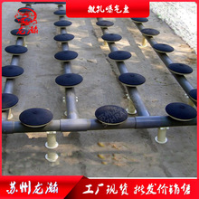 蘇州龍瀚污水處理215橡膠盤式膜片微孔曝氣器 曝氣管微孔曝氣盤