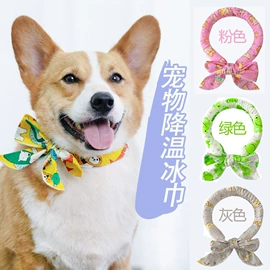 狗狗服装;宠物鞋靴;狗狗包、箱