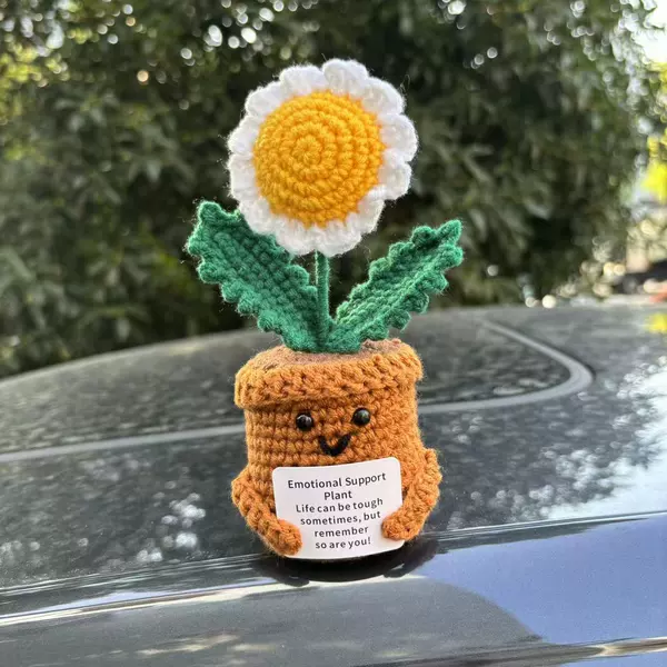 White daisy pot plant