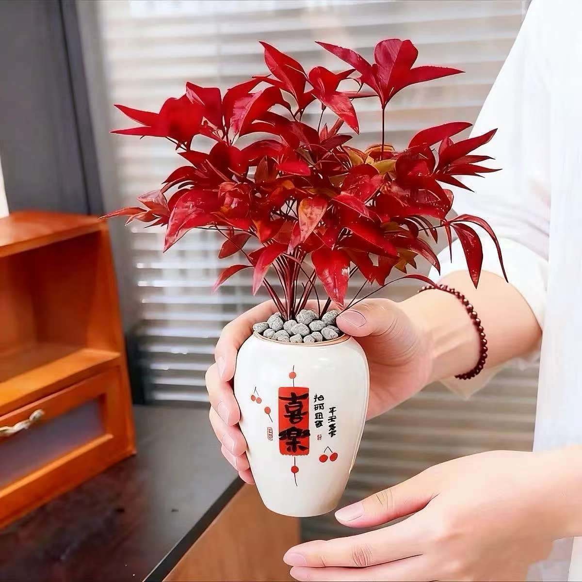 火焰南天竹盆栽年宵花耐寒好看绿植禅意盆景客厅桌面新手好养植物