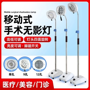 Medical Surgical Shadowless Lamp Vertical Floor-Standing Mobile Tattoo Oral Special Lighting Inspection Lamp Led Cold Light Source